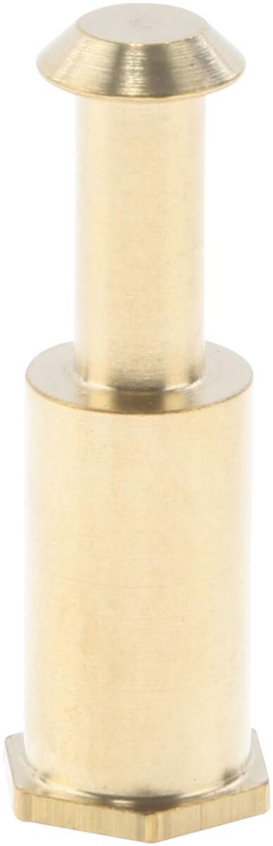 Bosch Siemens 00613599 Bolzen