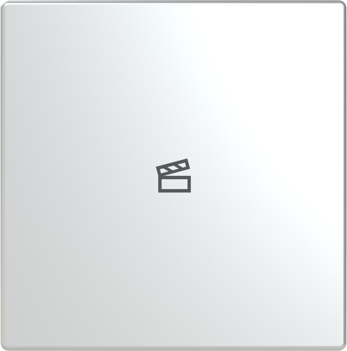 Busch-Jaeger LFST/A.1.63.11-866 Taster für Keypad, pur edelstahl, 1-fach, Symbol Szene, edelstahl (2CKA006199A0097)