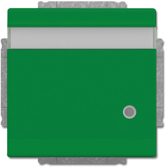 Busch-Jaeger 20 EUKNBL-13-82 SCHUKO Steckdosen-Einsatz mit Klappdeckel, Beschriftungsfeld und LED Kontrolllicht, future linear, grün (2CKA002018A1545)