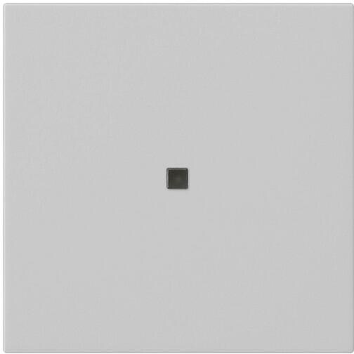 Gira 5495015 Gira eNet Funk Bedienaufsatz, Grau