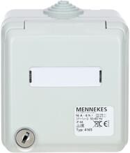 MENNEKES (4165) Cepex-Wandsteckdose, grau