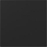 Gira 3496005 Wippe, Gerade stehende, 1fach, System 55, schwarz matt (lackiert)
