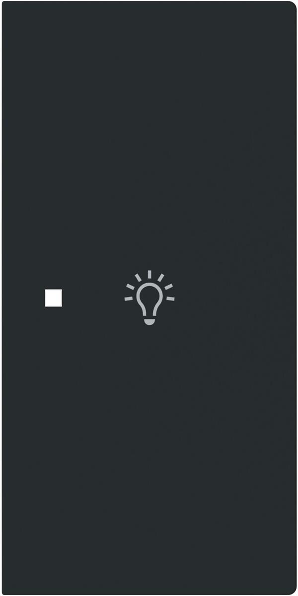 Busch-Jaeger 6231-22-45M Wippe, art-linear, 2-fach, rechts, Symbol Licht, schwarz matt (2CKA006220A0955)