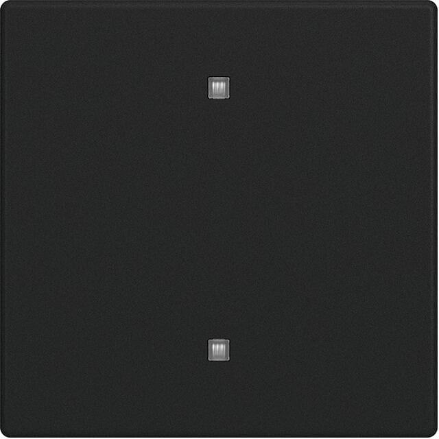 Busch-Jaeger 2570-10-885 Wippe 1-fach, Elektroniktaster future linear, Schwarz Matt (2CKA001751A3262)