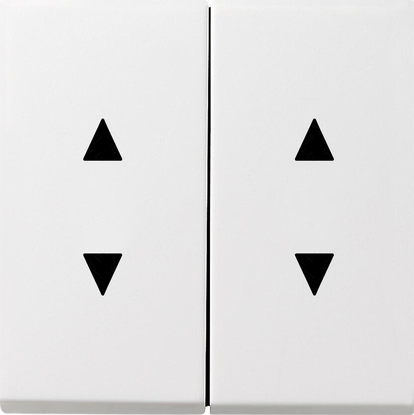 Gira 1150112 Wippen mit Pfeilsymbolen, Flächenschalter, Reinweiß glänzend