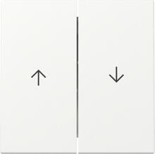 Gira 329427 Wippe mit Pfeilsymbol, 2fach, System 55, Reinweiß seidenmatt (lackiert)