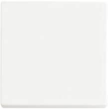 Busch-Jaeger 6735 BT-884 Wippe für Friends of Hue und Bluetooth (casambi) Smart Switch Einsatz , future® linear, 1-fach, studioweiß matt (2CKA006730A0149)