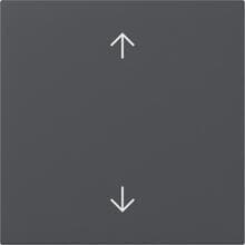 Gira Wippe Pfeile System 55 Anthrazit (361628)