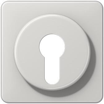 Jung CD528LG Abdeckung für Schlüsselschalter, lichtgrau