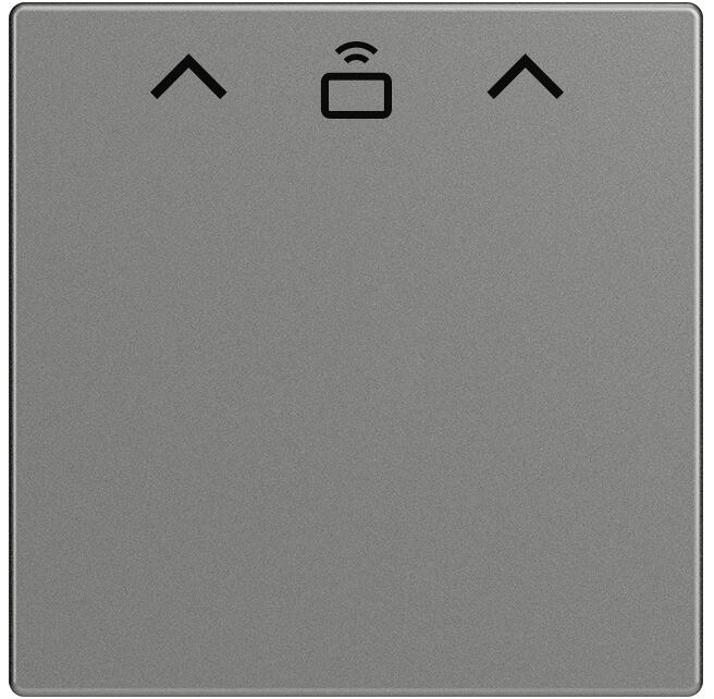 Busch-Jaeger 1792 RFID-803 Zentralscheibe, Cardschalter RFID, Solo, graumetallic (2CKA001710A4133)