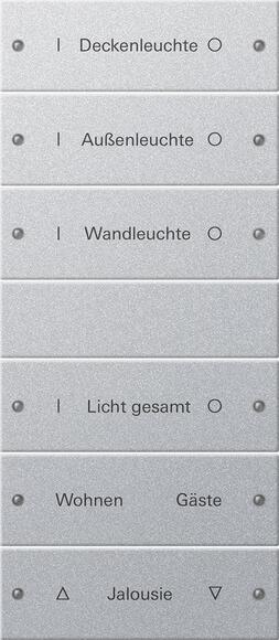 Gira 220626 Wippenset, 6fach (3+3), beschreibbar, System 55, Farbe Alu (lackiert)