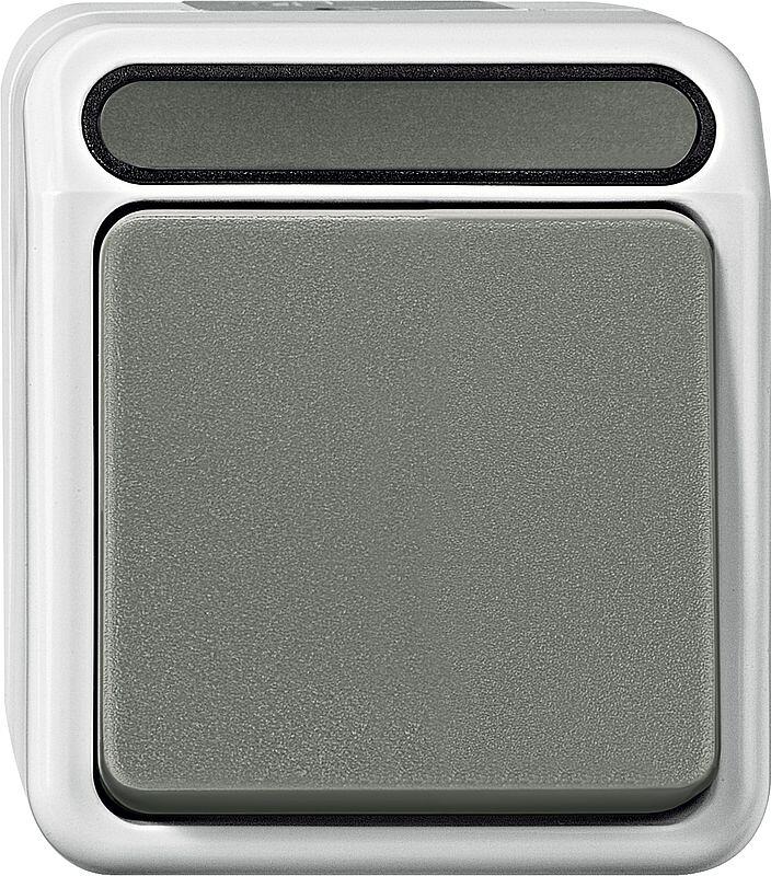 Merten MEG3150-8029 Taster, Schließer, Aquastar, 1‐polig, 10 A, AC 250 V, lichtgrau