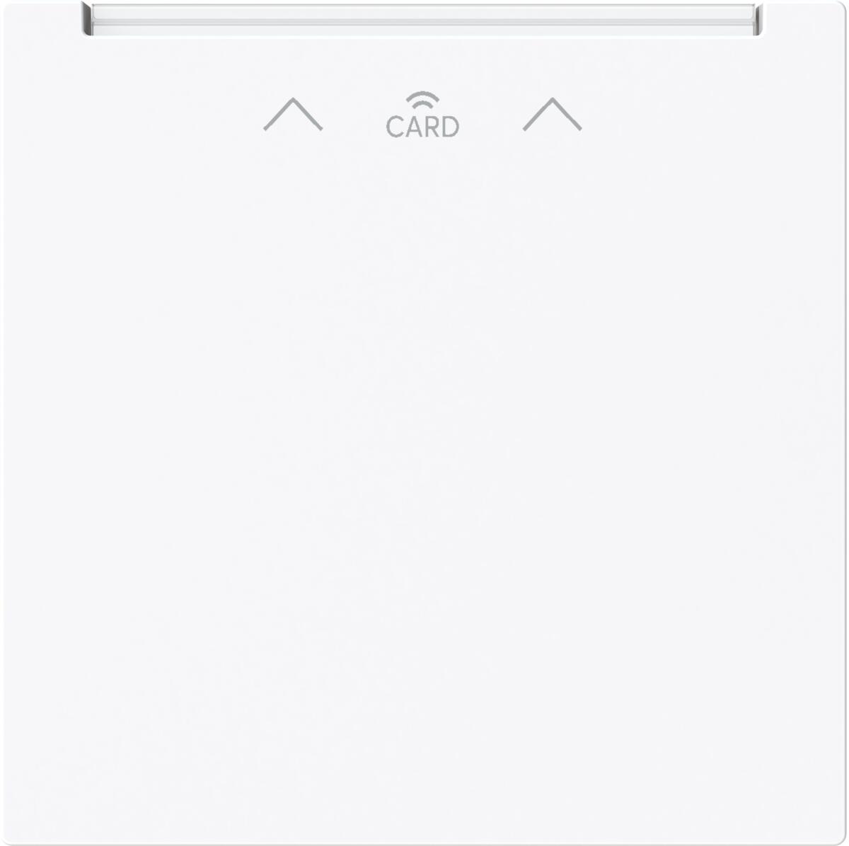 Busch-Jaeger 1792 RFID-44G Zentralscheibe für Cardschalter, Busch-art linear, Symbol Card RFID, studioweiß glänzend (2CKA001710A4244)