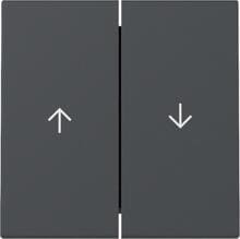 Gira 329428 Wippe mit Pfeilsymbol, 2fach, System 55, Anthrazit (lackiert)