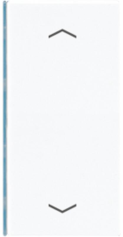 Taste 2fach mit Symbolen , Alpinweiß, Jung A402TSAPWW