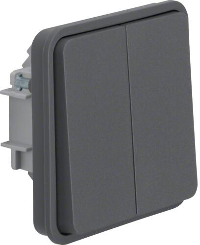 Berker 50423515 Serientaster-Einsatz mit Wippe, 2fach, 2 Schließer, gemeinsame Eingangsklemme, W.1, grau matt
