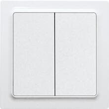 Eltako W2T55E-pg Wipptaster Doppelwippe (30055752)