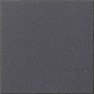 Gira 536028 System 3000 Bedienaufsatz, System 55, anthrazit