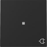 Gira 3291005 Wippe mit Kontrollfenster und Symbol "Steckdose", System 55, schwarz matt (lackiert)