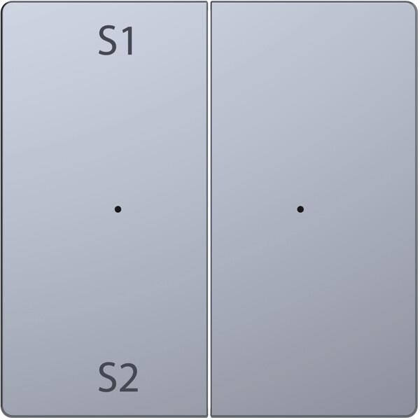 Merten MEG5226-6036 Wippe für Taster-Modul, System Design, 2fach (Szene1/2, blank), Edelstahl