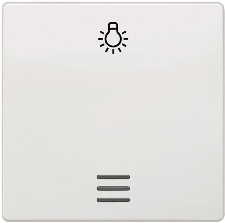 Siemens DELTA i-system Wippe mit Fenster, Symbol Licht, für Taster (5TG6206)