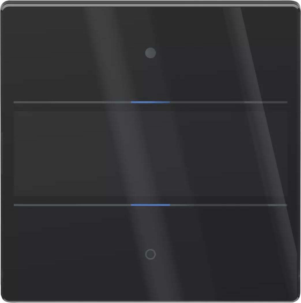 Theben LUXORliving iON2 G BK Glas-Tastsensor LUXORliving 2-fach, mit integriertem Temperatursensor, Smart Home, schwarz (4804412)