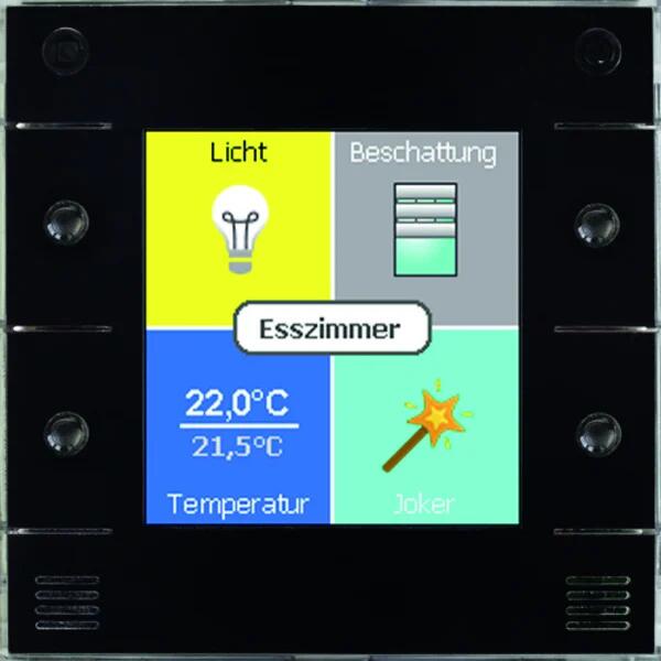 digitalSTROM AIZO X-UL-10230AB u::lux Switch dS, moderne Gebäudeautomation, Farbgrafikdisplay, 230V, schwarz (X-UL-10230AB)