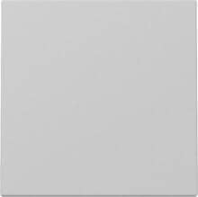 Gira 3296015 Wippe, 1fach, System 55, grau matt (lackiert)
