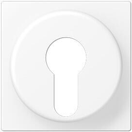 Jung A528PLWWM Abdeckung für Schlüsselschalter, Serie A, schneeweiß matt