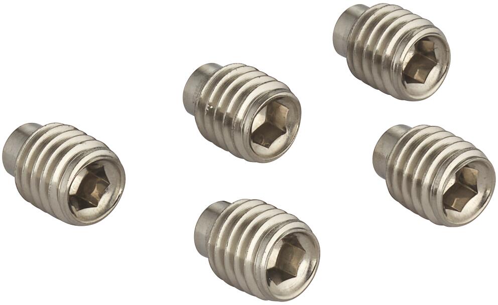 GROHE Gewindestift 8x10, 5 Stück (0311700M)