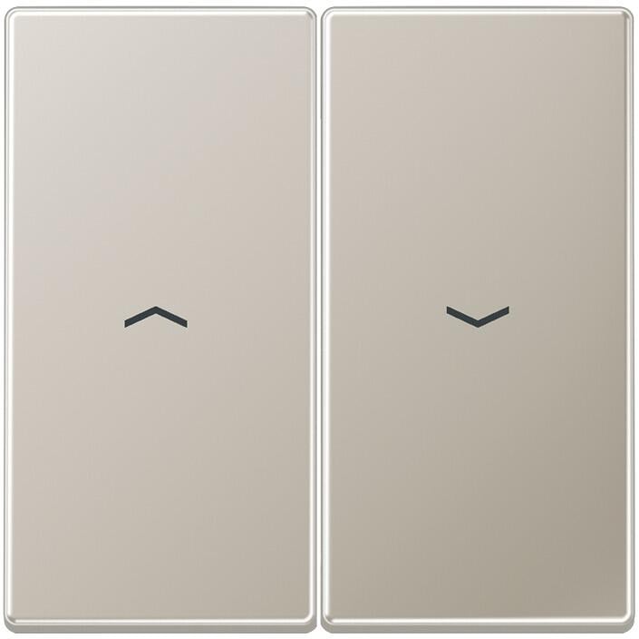 Jung ES2995P Wippe mit Symbolen, LS 990, edelstahl