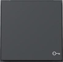 Gira 328767 Wippe mit Symbol Tür, TX_44, anthrazit