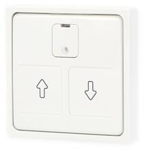 Elso 367254 Zentralplatte für elektronischen Rollladenschalter, Joy, reinweiß