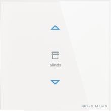 Busch-Jaeger TB/U2.4.11-CG Touch-Bedienelement, 2-fach, quadratisch, 86x86mm, konfigurierbares Gerät, Busch-tacteo (2CKA006300A1559)