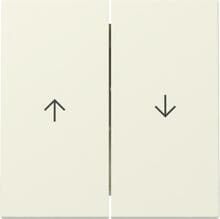 Gira 329401 Wippe mit Pfeilsymbol, 2fach, System 55, Cremeweiß glänzend (lackiert)