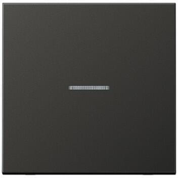Jung AL101KO5AN Wippe mit Lichtleiter, Serie LS, anthrazit (lackiertes Aluminium)