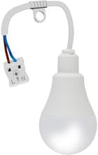 EVN Baustellenfassung mit LED-Leuchtmittel inkl. Anschlussklemme, 4000K, 991lm, 170-250V/AC, 9W, IP20 (BF230940)