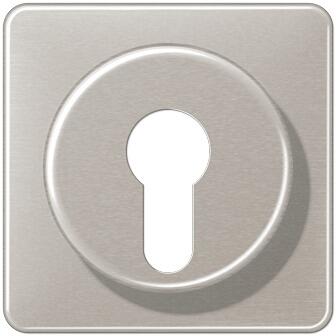 Jung CD528PT Abdeckung für Schlüsselschalter, platin