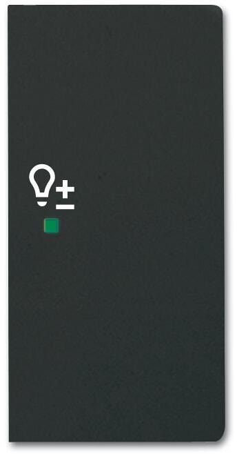 Busch-Jaeger 6234-22-885 Wippe future linear, 2-fach rechts, mit Symbol "Dimmer", schwarz matt (2CKA006220A0508)