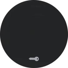Berker 16202015 Wippe mit Aufdruck Symbol Tür, R.1/R.3, schwarz glänzend