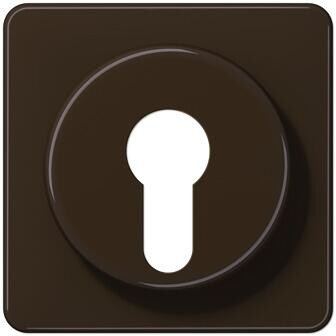 Jung CD528BR Abdeckung für Schlüsselschalter, braun