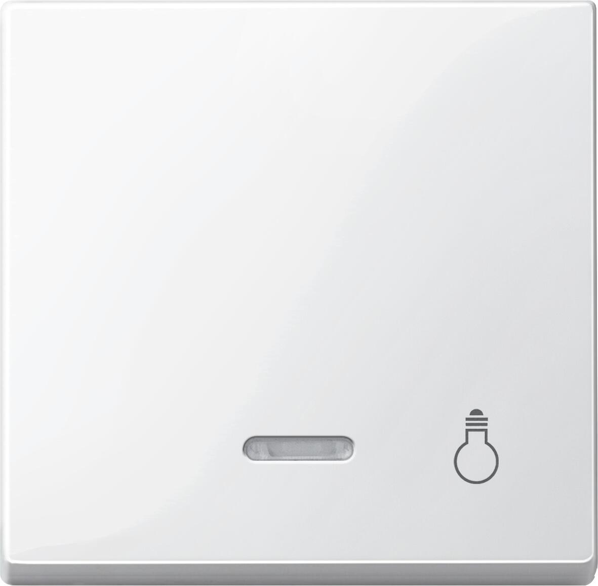 Merten 435919 Wippe mit Kontrollfenster und Aufdruck Licht, System M, Polarweiß glänzend