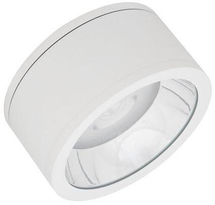 LEDVANCE DOWNLIGHT SURFACE IP65 DN 250 P 45W 830 60D WT, 4725lm, warmweiß (4058075769298)