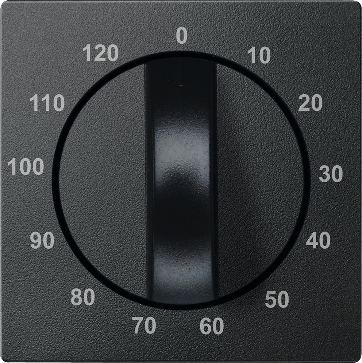 Merten 539214 Zentralplatte für Zeitschalter-Einsatz 120 min, System M, anthrazit matt