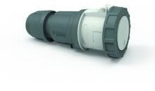 Bals Kupplung MULTI-GRIP TE-Plus, 125A, 5p, >50V, 1h, IP67, grau (8) (31641)