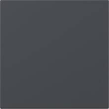 Gira 349628 Wippe, gerade, 1fach, System 55, Anthrazit (lackiert)