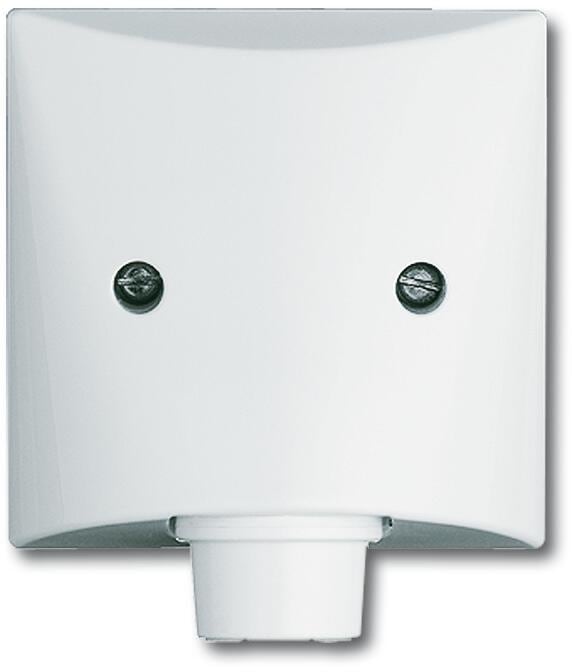 Busch-Jaeger 2133-34 Zentralscheibe mit Tragring, Allwetter 44, alpinweiß (2CKA001710A1845)