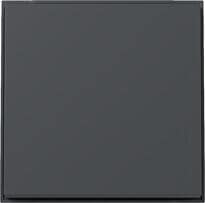 Gira 329667 Wippe, 1fach, TX_44, anthrazit