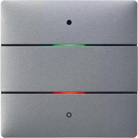 Theben LUXORliving iON2 SR Tastsensor 2 Tasten, 2 LEDs, Integrierter Temperatursensor, silber, Smart Home 4802412