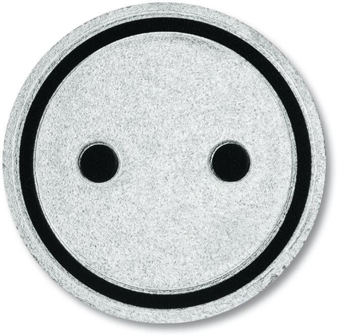 Busch-Jaeger 2144 ST Abtastbares Symbol Steckdose, Duro 2000 Si (2CKA001714A0298)